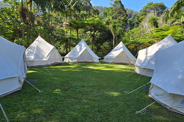 Glamping tent packages